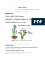 Adaptation in Flowers For Pollination