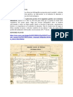 INDIVIDUAL-FASE 4 Correccion