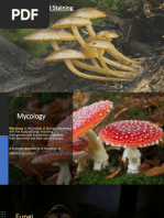 9.3rd June - Mycology - Culture and Staining