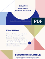 Evolution Cycle 7 Day 6