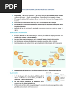 Implantación y Desarrollo Placentario PARTE 1 - PRIMER PARCIAL