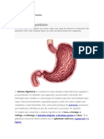 Sistema Digestório: Nome: Kaik Vieira Faustino