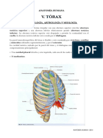 Osteología, Artrología y Miología de Tórax