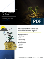 Conceitos Básicos Fertilidade Do Solo