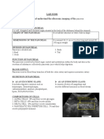 Lab No5 Spleen