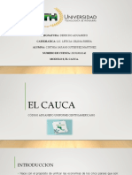 Tarea Modulo 8. El CAUCA