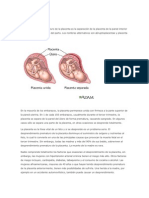 Placenta Abrupta