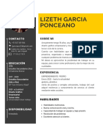 Curriculum Profesional