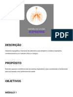 Anatomia Do Sistema Respiratório