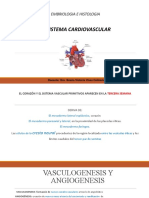 Clase Viii Embriologia Cardiovascular