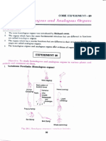 Homologous and Analogous Organs Class Xii Practical