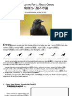 Crow Behaviors