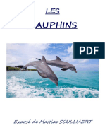 Expose Mattias Les Dauphins