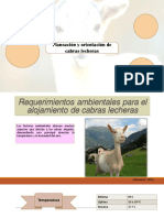 Planeacion y Orientacion de Cabras Lecheras