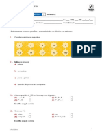 Ae100m6 Ficha Formativa2