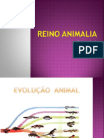 Reino Animalia - Invertebrados I