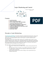 Agile Project Monitoring and Control