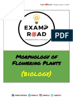 Notes On Morphology of Flowering Plants