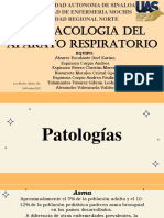 Sistema Respiratorio