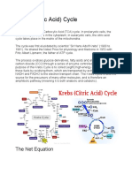 Kreb Cycle