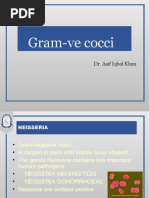 Lecture 9. Neisseria Gonorrhoeae