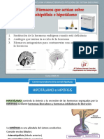 Tema 18 - Farmacos Que Actuan Sobre Adenohipofisis e Hipotalamo - 22-23