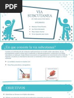 Via Subcutanea-1