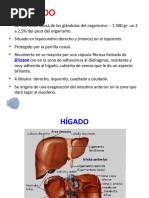 Hígado