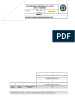 Psst-002 Descripcion Del Proceso Productivo