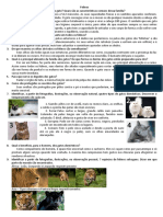 Felinos - Material de Estudo 