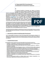 Fiche de Poste Une Ou Responsable Dinvestissement Cameroun 1669637450