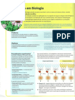 Investigação Experimental