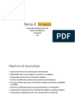 Tema 4. Sinapsis