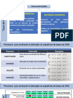 U5-Mutações Génicas