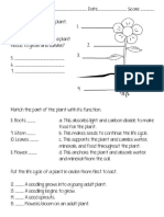 Partsofaplantandlifecycletest 1