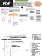 Mapa Conceptual Auditoria III