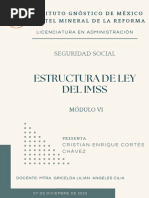 4.estructura Ley Imss - SS - Cristian Enrique Cortes Chavez