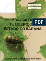 Feijao Pragas