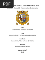 Informe 6 Reconocimiento Anatómico de La Madera