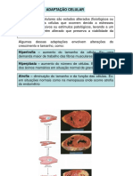 Adaptação e Lesão Celular