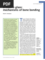 Bioactive Glass - Mechanism of Bone Bonding