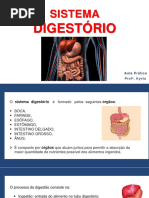 UNINASSAU - Sistema DigestÃ Rio