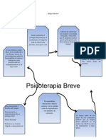 Mapa Menta1. Terapia Breve