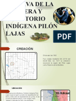 4.2 Diapositivasreserva de La Biosfera y Territorio Indígena Pilón-1