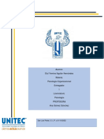 Elulyemina Entregable1 Psicologiaorganizacional