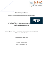 Mémoire M2 MEEF L'Efficacité Du Travail de Groupe Chez Les Enfants Intellectuellement Précoces