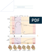 Diagrama de Wiggers