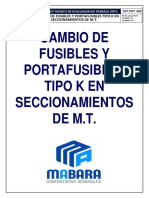 Sst-004-Cambio de Fusibles Tipo K en Seccionamientos de MT