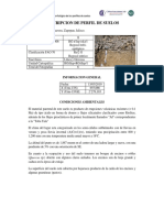 Anexo 3.21 Descripción Morfológica de Los Perfiles de Suelos