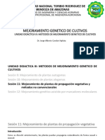 Sesión 11 - Mejoramiento Genético de Cultivos